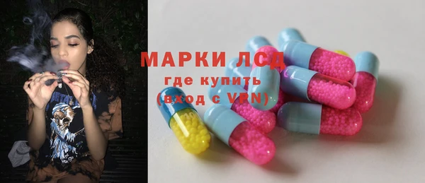 сатива Надым