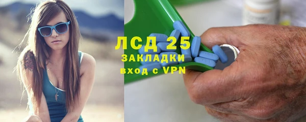 сатива Надым