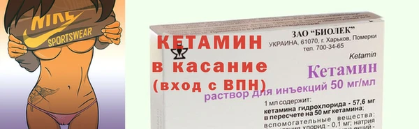индика Нея