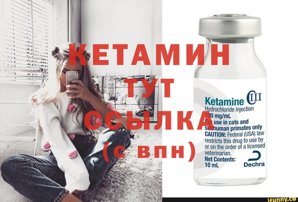 сатива Надым