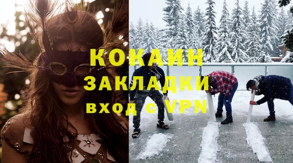 сатива Надым