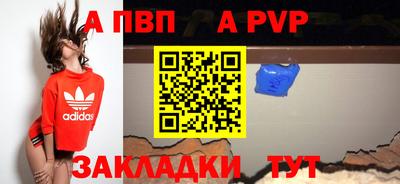 стаф Донецк