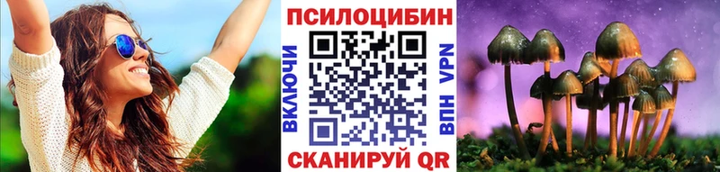 Псилоцибиновые грибы Psilocybine cubensis  Уфа 